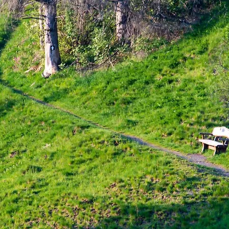 Pur Wolke 7 Prázdninový dům Sankt Andreasberg